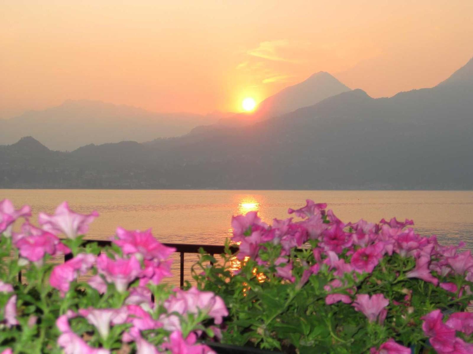 Divina Vita Apartments Varenna Zewnętrze zdjęcie